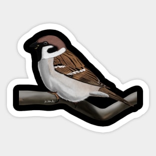 Sparrow Bird Illustration Sticker